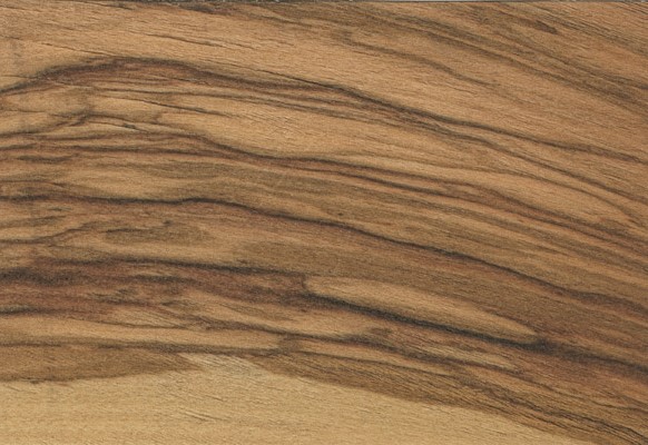 Olivo