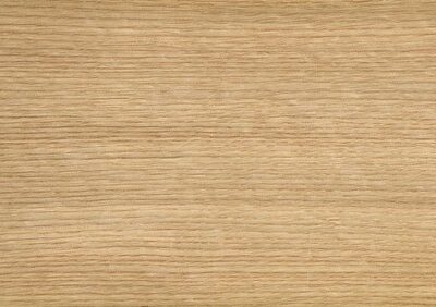 Rovere Bianco