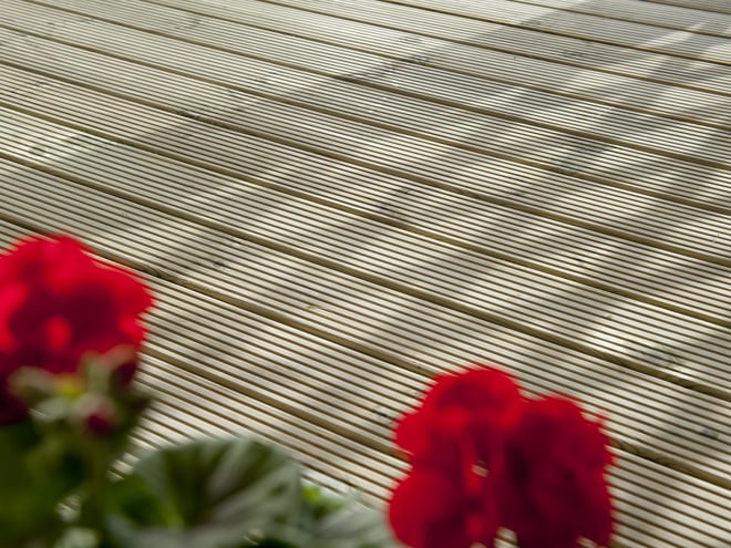 Legno Autoclavato - immagine 5